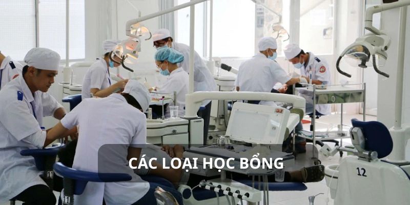 Cụ thể các chương trình học bổng dành cho sinh viên mới